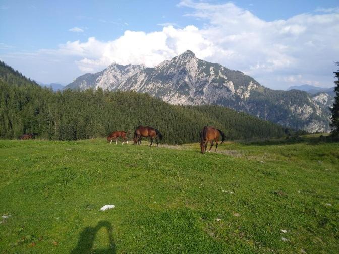 Mountainlove Штробль Экстерьер фото